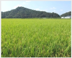  2024Ÿ72228   â 58-67       ()