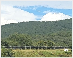  2024Ÿ72303  õ  ۸ 299      ()