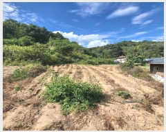  2024Ÿ72303  õ  ۸ 299      ()