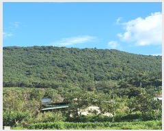  2024Ÿ72303  õ  ۸ 299      ()