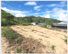  2024Ÿ72303  õ  ۸ 299      ()