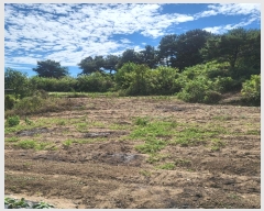  2024Ÿ72303  õ  ۸ 299      ()