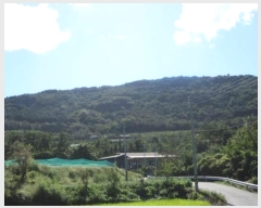  2024Ÿ72303  õ  ۸ 299      ()