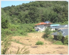  2024Ÿ72303  õ  ۸ 299      ()