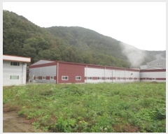  2024Ÿ72389    մɸ 637      