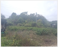  2024Ÿ72402  õ  ۰ 50      (Ӿ)