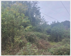  2024Ÿ72402  õ  ۰ 50      (Ӿ)