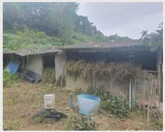  2024Ÿ72402  õ õ  183      ()