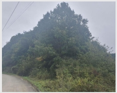  2024Ÿ72402  õ  ۰ 50      (Ӿ)