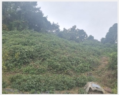  2024Ÿ72402  õ  ۰ 50      (Ӿ)