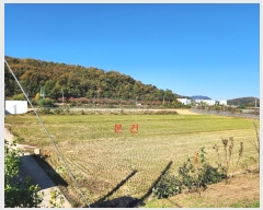  2024Ÿ72686  ֽ 嵿 321-1       ()