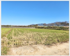  2024Ÿ72686  ֽ 嵿 321-1       ()