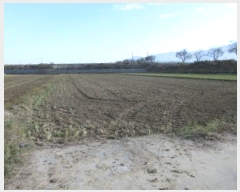  2024Ÿ72686  ֽ 嵿 321-1       ()