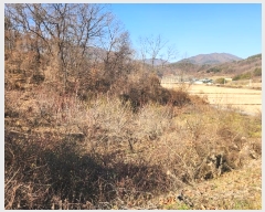  2024Ÿ��72785 ��� ���ֽ� ������ ������ 281      ����(��1)���