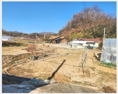  2024Ÿ��72785 ��� ���ֽ� ������ ������ 281      ����(��1)���