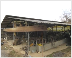  2024Ÿ72808  ֽ ȭ 긮 171      (󰡽ü)