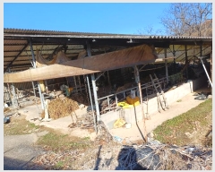  2024Ÿ72808  ֽ ȭ 긮 171      (󰡽ü)