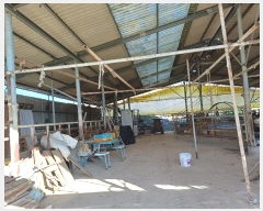  2024Ÿ72808  ֽ ȭ 긮 171      (󰡽ü)