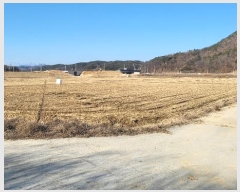  2024Ÿ��72884  ����