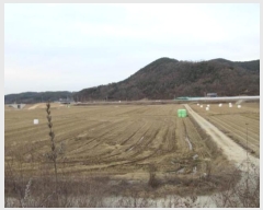  2024Ÿ��72884  ����