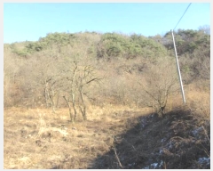  2024Ÿ��72945  �����