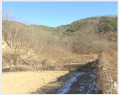  2024Ÿ��72945  �����