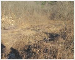  2024Ÿ��72945  �����