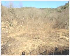  2024Ÿ��72945  �����