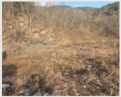  2024Ÿ��72945  �����