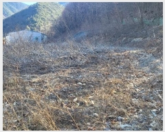  2024Ÿ72969     56-5      (1)