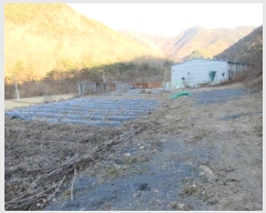  2024Ÿ72969     56-5      (1)