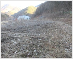  2024Ÿ72969     56-5      (1)