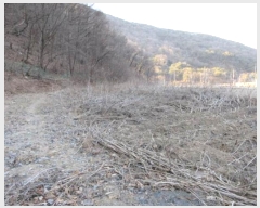  2024Ÿ72969     56-5      (1)