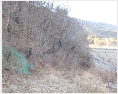  2024Ÿ72969     56-5      (1)