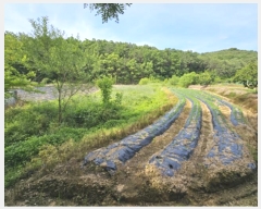  2024Ÿ295 뱸  Һ Ȳ 606      ()