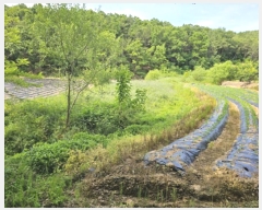  2024Ÿ295 뱸  Һ Ȳ 606      ()