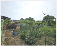  2024Ÿ295 뱸  Һ Ȳ 606      ()