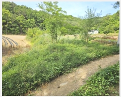  2024Ÿ295 뱸  Һ Ȳ 606      ()