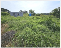  2024Ÿ295 뱸  Һ Ȳ 606      ()