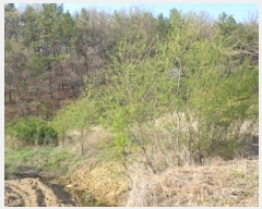  2024Ÿ295 뱸  Һ Ȳ 606      ()