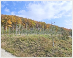  2024Ÿ578  û۱  õõ 823      ()