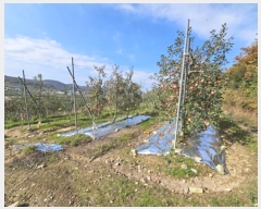  2024Ÿ578  û۱  õõ 823      ()