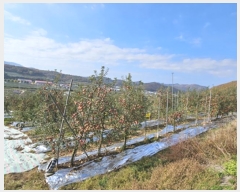  2024Ÿ578  û۱  õõ 823      ()