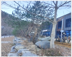  2024Ÿ653  û۱ ֿջ 渮 37-1      ,繫ǰ