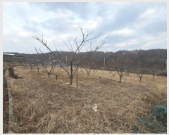  2024Ÿ714  Ǽ  ̸ 588      ()