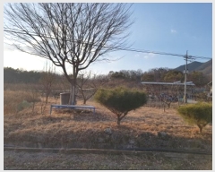  2024Ÿ714  Ǽ  ̸ 588      ()