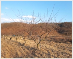  2024Ÿ714  Ǽ  ̸ 588      ()