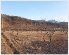  2024Ÿ714  Ǽ  ̸ 588      ()