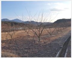  2024Ÿ714  Ǽ  ̸ 588      ()