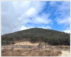  2024Ÿ738  û۱  ż 55-2      (Ӿ)